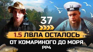 Прокачка С НУЛЯ ● От КОМАРИНОГО до МОРЯ ● 37 серия ● Русская Рыбалка 4