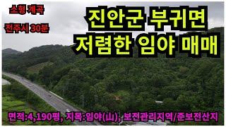 #매물번호:2024-169# 진안군 부귀면 저렴한 임야(山) 매매, 전주시 30분 거리, 면적:4,190평, 대로변 통해 진출입 가능