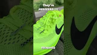 Nike Dragonfly Spikes  #runningshoes #trackandfield #shoereview