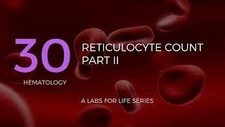 Reticulocyte Count Part II