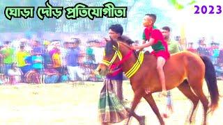 Horse Free Spirit  Bangla Blogs  Sylhet Bangladesh