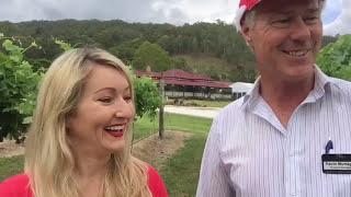 Interview | O'Reillys Vineyards - Episode 1 of 3  | Travel with Sonia Carroll