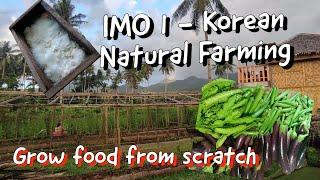 Korean Natural Farming IMO 1| No Synthetic Chemicals Used in Farming | White Molds Can Grow Food