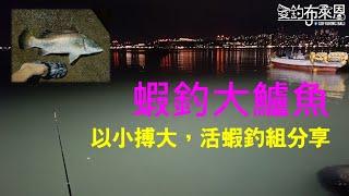 學釣魚#42 如何用活蝦釣大鱸魚 活蝦釣組/釣法解說 #金目鱸 #石斑 #黑鯛 #牛尾 #海鰱