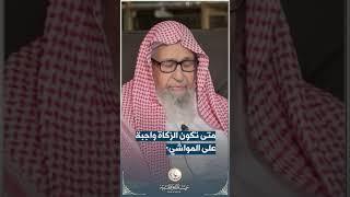 متى تكون الزكاة واجبة على المواشي؟#shorts