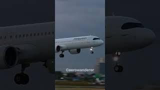 PHILIPPINE AIRLINES A321NEO landing at Manila Airport #shorts #aviation #a321 #landing #manila