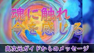 月の雫TV(無料版) 1/12放送 テーマ「魂に触れて今を感じる」