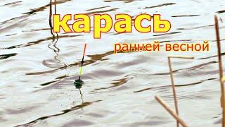 Ловля карася на поплавочную удочку ранней весной. Рыбалка на карася в марте