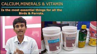 Parrots Birds Breeding Tips / Vitamines,calcium & Minerals for Birds Parrots.