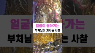 소원성취 명당 부산 기장 정관 소원사 사찰여행 암자순례 당일치기 가볼만한곳 드라이브 2025 운세 사주 반야심경 천수경 금강경 화엄경 관세음보살 광명진언 불경 나무아미타불 목탁소리