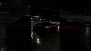 lonely hellcat meets rain water...