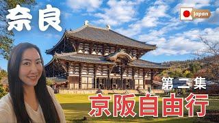 Kyoto Travel EP2: Adorable Nara Deer, Majestic Todai-ji, and Lightning-Fast Mochi Pounding