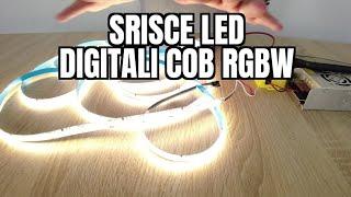 NOVITA': Strisce LED Digitali WS2814 COB RGBW