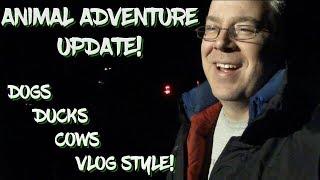 Animal Adventure Update: Dogs, Ducks, Cows - Vlog Style!