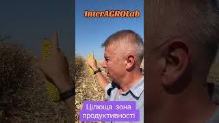 Цілюща зона продуктивності