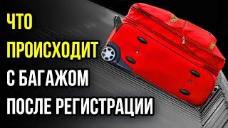 Невероятное путешествие, в которое отправляется ваш чемодан после регистрации