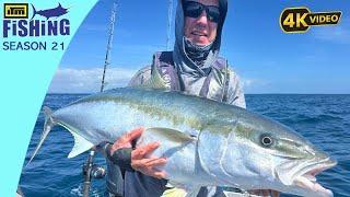 Yellowtail Kingfish Every Drop - Baits, Jigging, and Lures