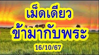 แข่นๆ เม็ดเดียว ข้ามากับพระ / หนาวน้ำค้าง / ลมพัดผ่าน / ลุงมหา มีนบุรี 16/10/67