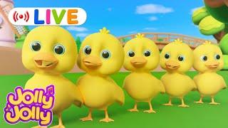 LIVEFive little ducks, Five little monkeys + More | Jolly Jolly & Numbers - Best Kids Songs!