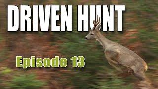 DRIVEN HUNT EPISODE 13 - A lot of action in Southern Sweden