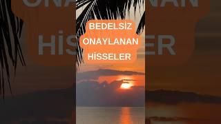 Son SPK Bülteninde Bedelsiz Sermaye Artırımı Başvurusu Onaylanan Şirketler ve Artırım Oranları 