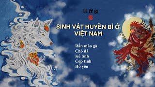NHỮNG SINH VẬT HUYỀN BÍ VIỆT NAM- Full 5 tập đặc sắc yếu tim không nên xem