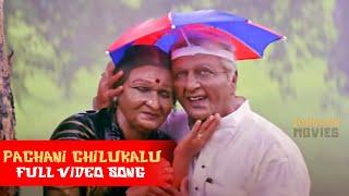 Pachani Chilukalu Telugu Full Video Song | Bharateeyudu | Kamal Hassan, Kasthuri | @JordaarMovies