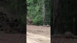 Backing fails gone wrong