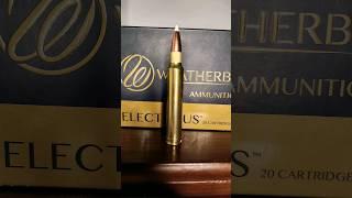 Favorite Weatherby Cartridge?