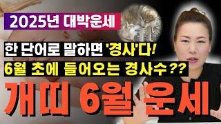 2025년 6월 개띠운세 '경사수'가 들어오는 6월! 자녀를 두신 분들은 자녀의 경사가~!! [양평용한점집 청화신당]