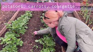 A rainy day at the plot | Allotment Vlog  Ep.16 