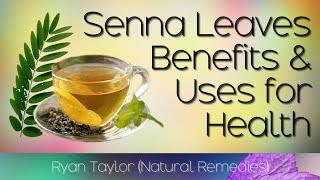 Senna Leaves: Benefits and Uses