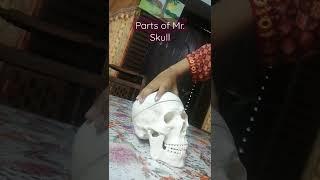 Removing Mr. Skull's Parts. #short #animationworld