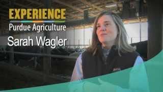 Experience Purdue Agriculture: Sarah Wagler/Career Path