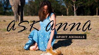 Ask Anna: Spirit Animals