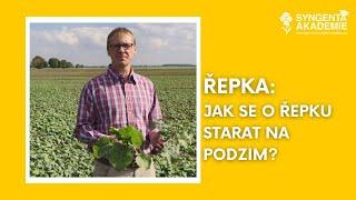 Akademie Syngenta řepka 8.díl - Jak se o řepku starat na podzim?  | Syngenta Česká republika