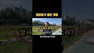 부동산은 늘 현장에 답이 있습니다 #경매 #부동산경매 #임장