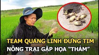 Team Quang Linh đứng tim, nông trại gặp họa ‘thảm’