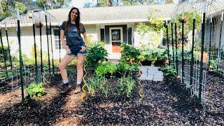 Harvesting Pounds of Food in Winter | Florida Urban Homestead Tour | Winter Garden Florida