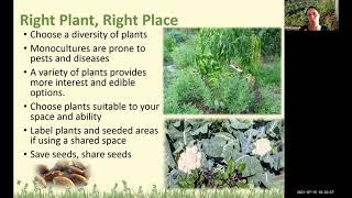 Shared Spaces: Florida-Friendly Landscaping™ Principles in Your Edible Garden (webinar)