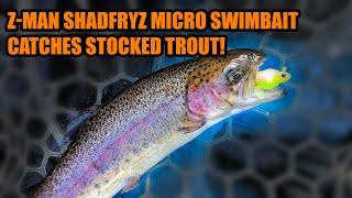 Catching Stocked Trout Fishing with Z-Man ShadFryZ on BFS Tackle