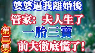 【第三集】婆婆逼我離婚後，管家：夫人生了，一胎三寶，前夫徹底慌了！