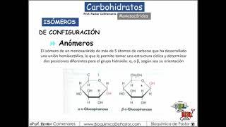 Monosacáridos | Carbohidratos Parte VIII