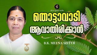 തൊട്ടാവാടിയാകാതിരിക്കാൻ..| DON'T BE A SHAMEPLANT | B.K. MEENA SISTER MOTIVATION | Shivajyothi Media