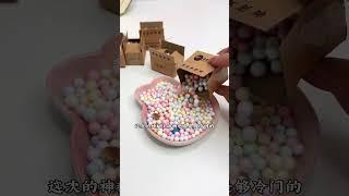 （2/2）盘点一下家里那些神秘小动物  #宠物 #萌宠 #动物 #治愈 #金丝熊 #鳄鱼 #跳蛛 #鬃狮蜥 #pets #cute