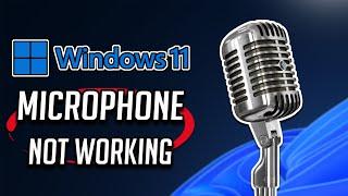 Fix Microphone Not Working on Windows 11 [Tutorial]