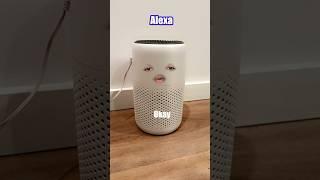 Bro took "Alexa always listens" to a whole new level… #comedy