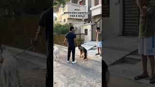 POV-when dogownergo for a walk#dog#viralvideo#shorts#pov