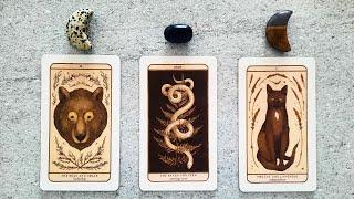 GUIDANCE YOU NEED TO HEAR RIGHT NOW! ‍⬛ | Pick a Card Tarot Reading