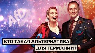 Кто такая «Альтернатива для Германии»?